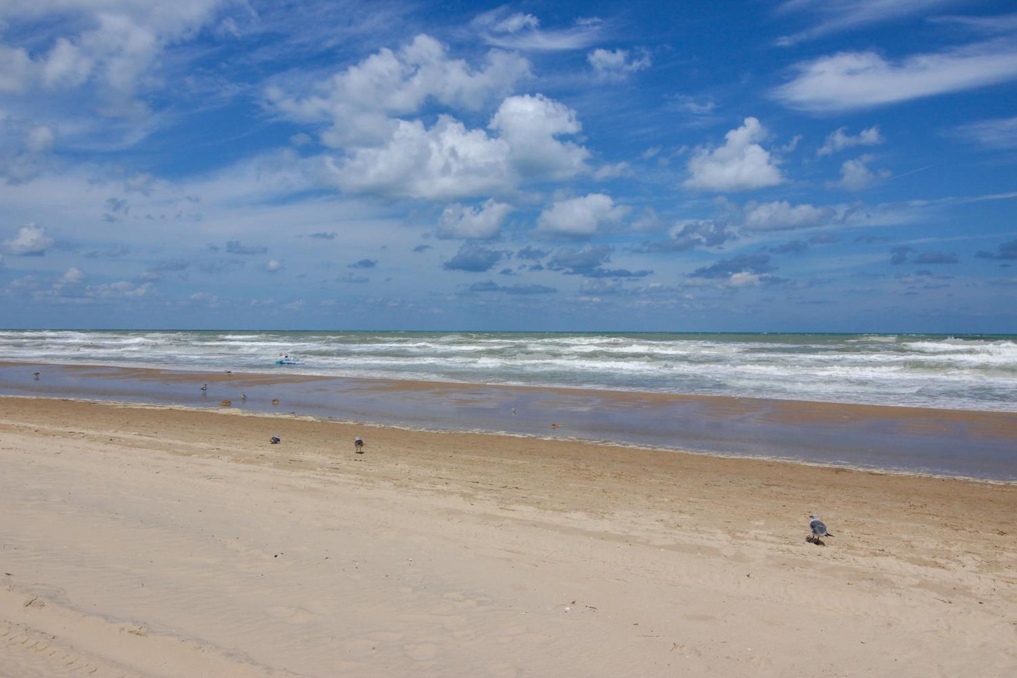 Ventura Villa South Padre Island Rum bild